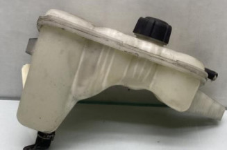 Vase d'expansion NISSAN JUKE 1