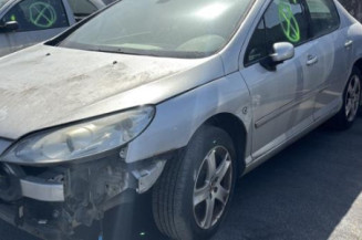 Custode avant gauche (porte) PEUGEOT 407