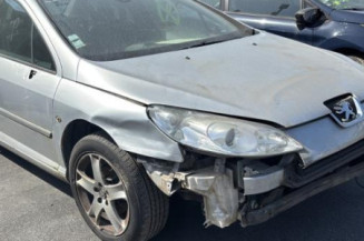Custode avant gauche (porte) PEUGEOT 407