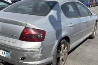 Custode avant gauche (porte) PEUGEOT 407