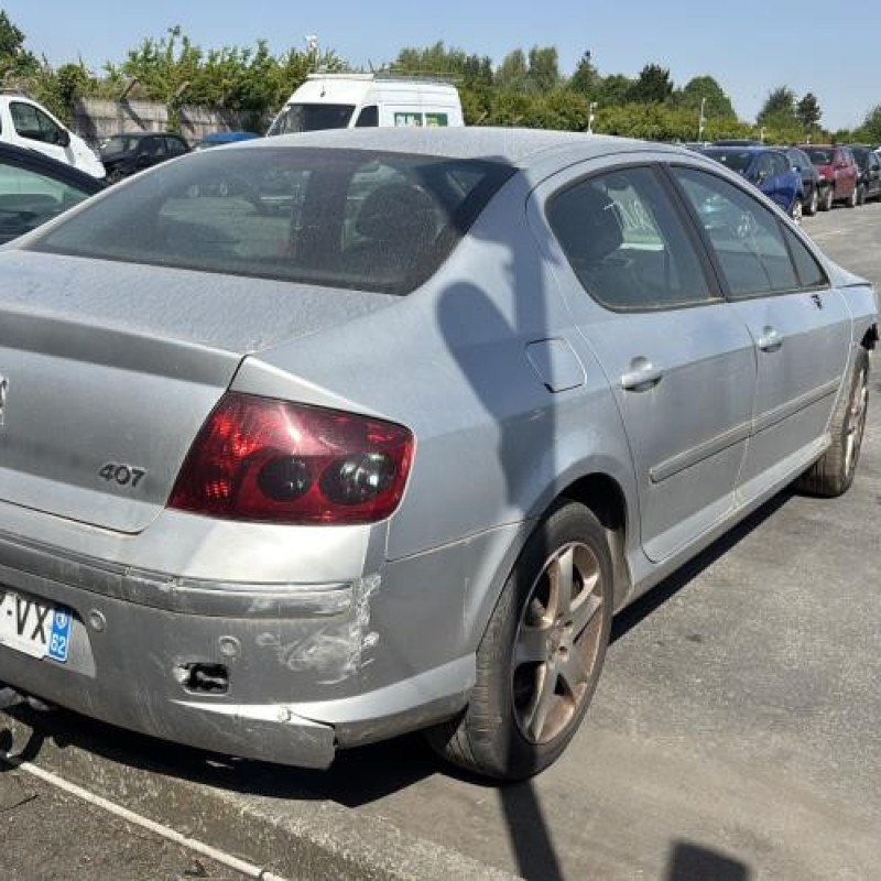 Custode avant gauche (porte) PEUGEOT 407 Photo n°7