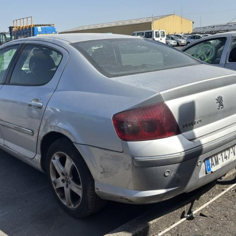 Custode avant gauche (porte) PEUGEOT 407 Photo n°8