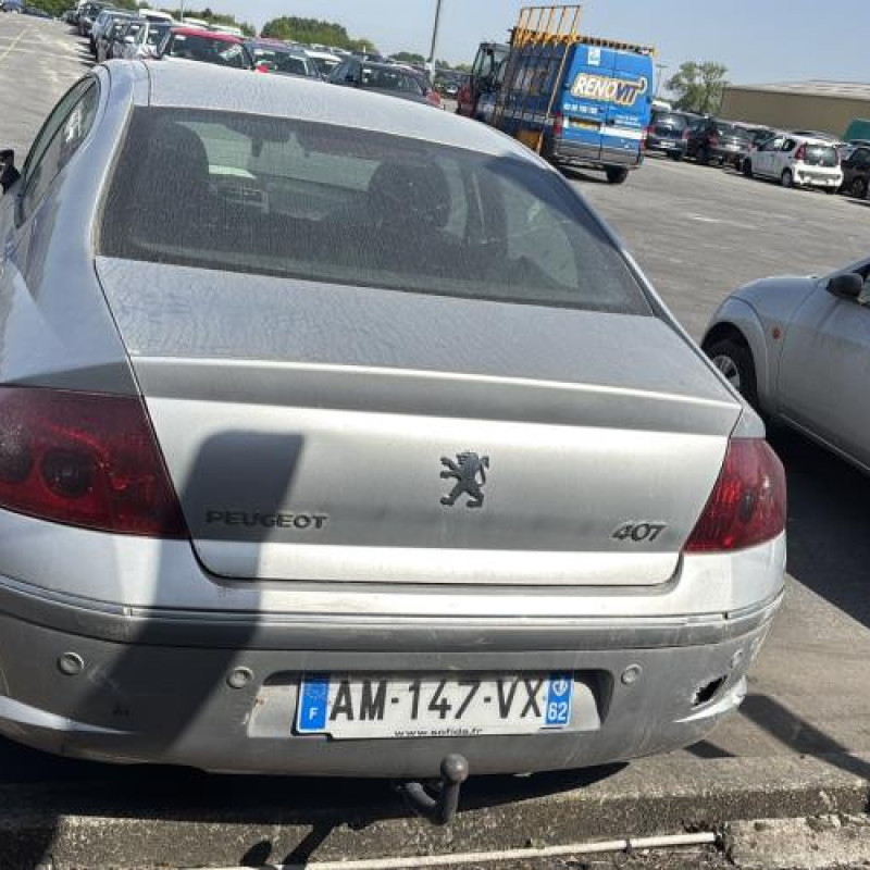 Custode avant gauche (porte) PEUGEOT 407 Photo n°9