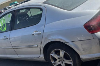 Custode avant gauche (porte) PEUGEOT 407