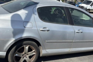 Custode avant gauche (porte) PEUGEOT 407
