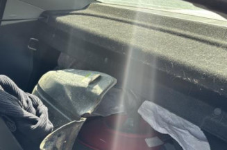Custode avant gauche (porte) PEUGEOT 407