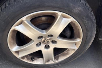 Custode avant gauche (porte) PEUGEOT 407