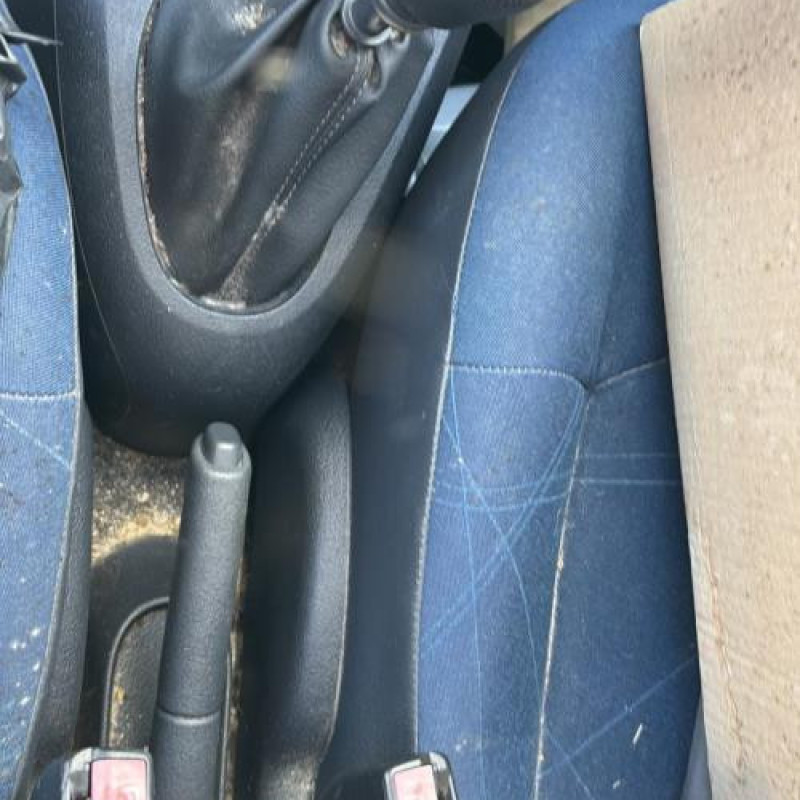 Porte arriere droit RENAULT CLIO 2 Photo n°9