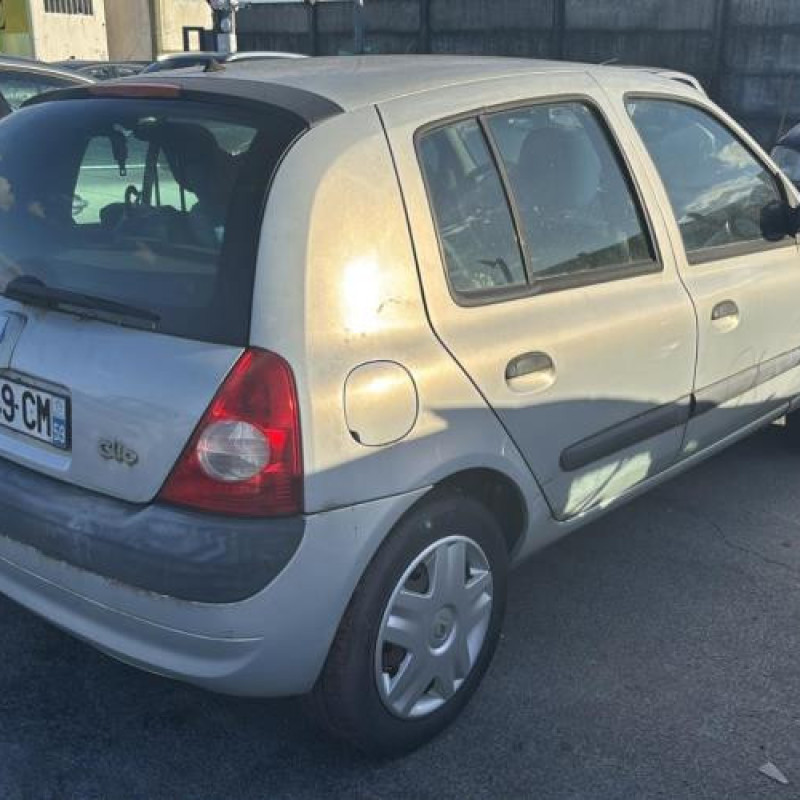 Porte arriere droit RENAULT CLIO 2 Photo n°13