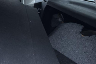 Pare boue arriere droit CITROEN C3 2