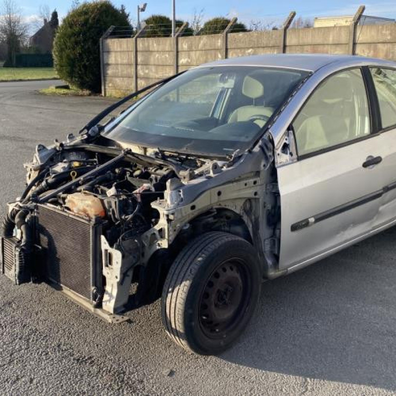 Custode arriere gauche (porte) RENAULT CLIO 3 Photo n°6