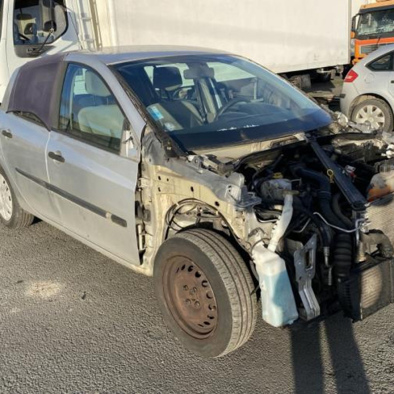 Custode arriere gauche (porte) RENAULT CLIO 3 Photo n°7