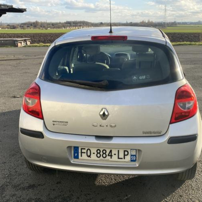 Custode arriere gauche (porte) RENAULT CLIO 3 Photo n°10