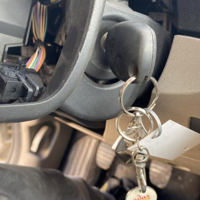 Custode arriere gauche (porte) RENAULT CLIO 3 Photo n°15