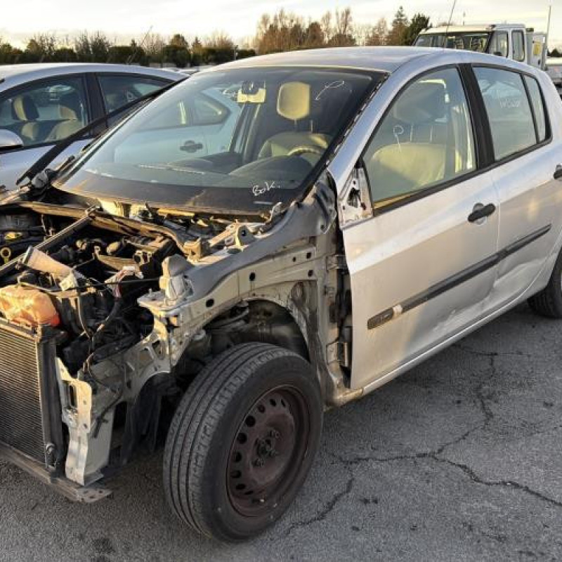 Custode arriere gauche (porte) RENAULT CLIO 3 Photo n°16