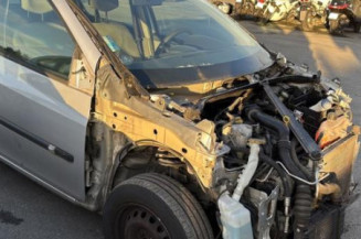 Custode arriere gauche (porte) RENAULT CLIO 3