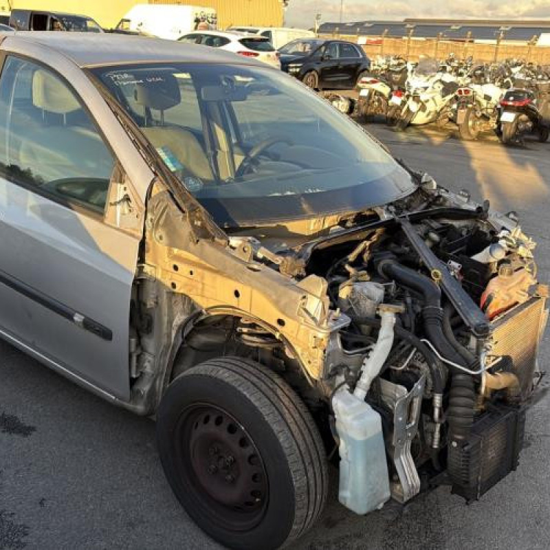 Custode arriere gauche (porte) RENAULT CLIO 3 Photo n°17