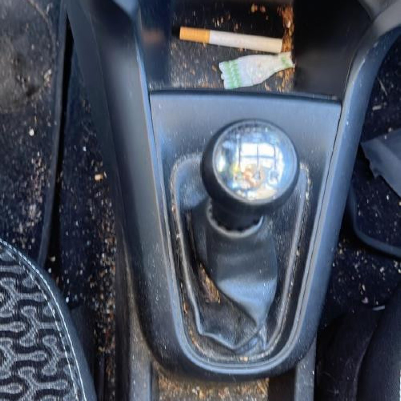 Porte avant gauche CITROEN C3 2 Photo n°17
