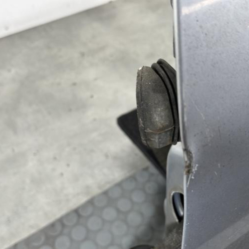 Porte avant gauche PEUGEOT 406 Photo n°4