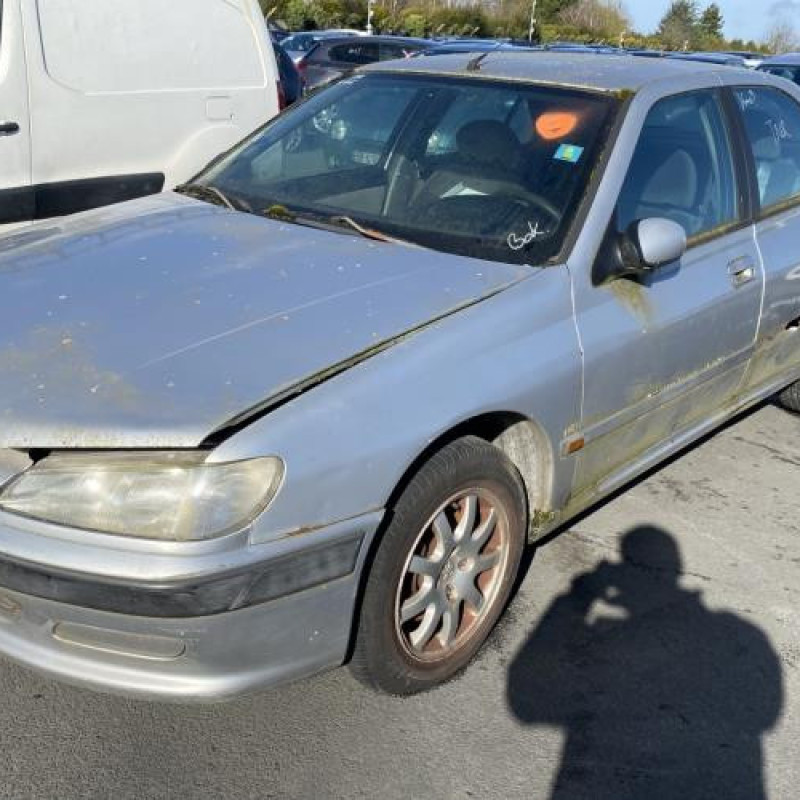 Porte avant gauche PEUGEOT 406 Photo n°9