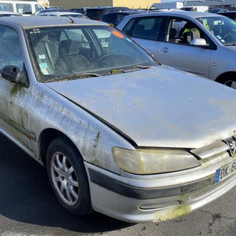 Porte avant gauche PEUGEOT 406 Photo n°10