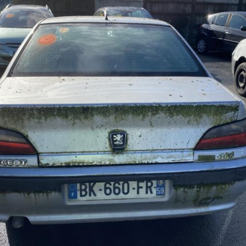 Porte avant gauche PEUGEOT 406 Photo n°13