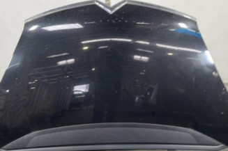 Capot CITROEN C4 GRAND PICASSO 1 Photo n°1