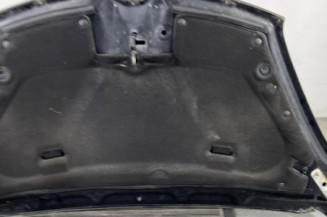 Capot CITROEN C4 GRAND PICASSO 1