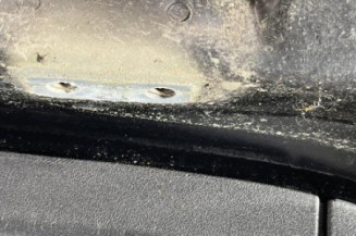Malle/Hayon arriere CITROEN C4 GRAND PICASSO 1