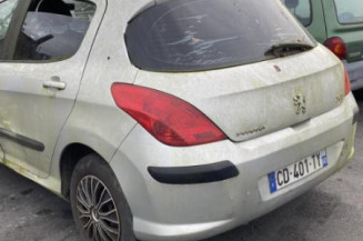 Aile avant droit PEUGEOT 308 1
