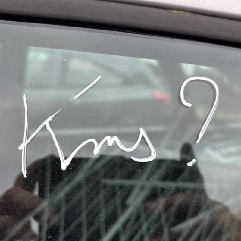 Porte arriere droit CITROEN XSARA PICASSO Photo n°18