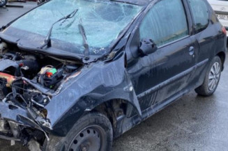 Malle/Hayon arriere PEUGEOT 206