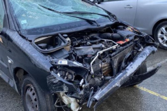 Malle/Hayon arriere PEUGEOT 206