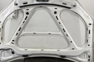 Capot VOLKSWAGEN GOLF 5
