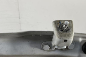 Malle/Hayon arriere PEUGEOT 208 1