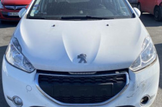Malle/Hayon arriere PEUGEOT 208 1
