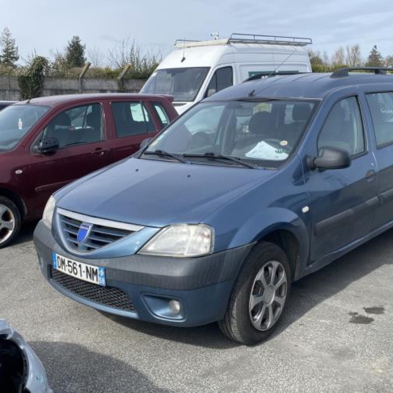 Porte arriere droit DACIA LOGAN MCV 1 Photo n°7