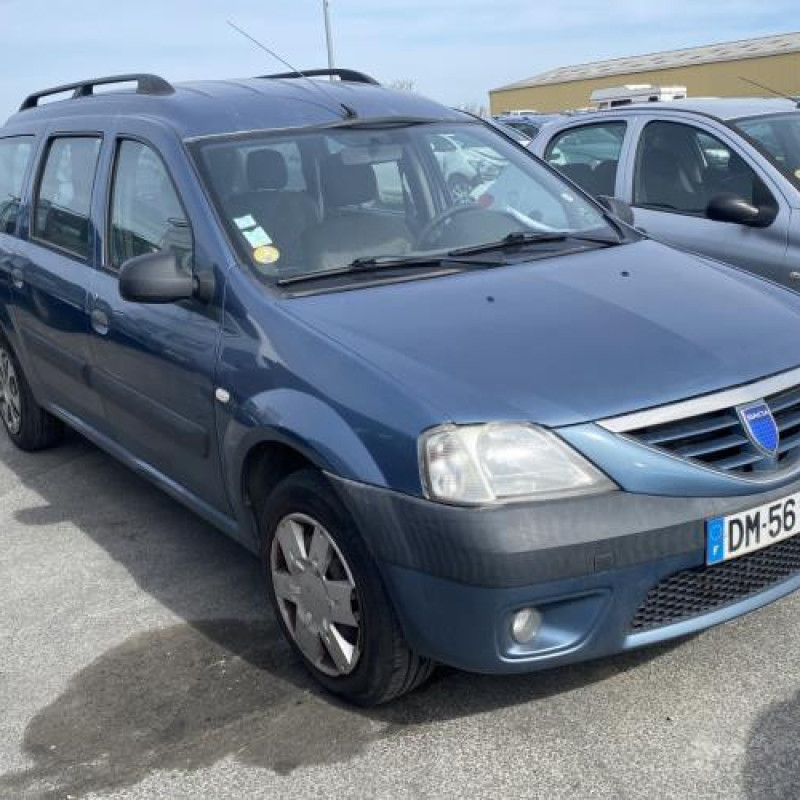 Porte arriere droit DACIA LOGAN MCV 1 Photo n°8