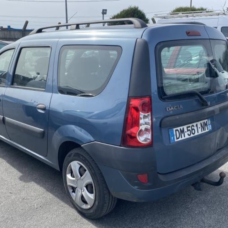 Porte arriere droit DACIA LOGAN MCV 1 Photo n°10