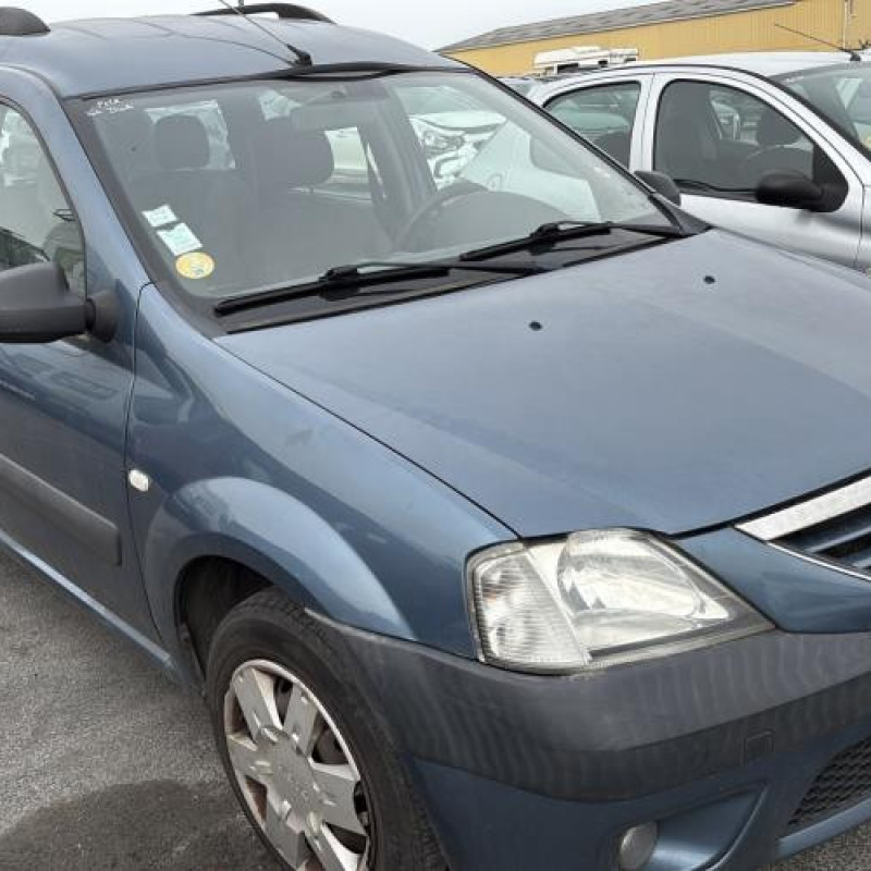 Porte arriere droit DACIA LOGAN MCV 1 Photo n°19