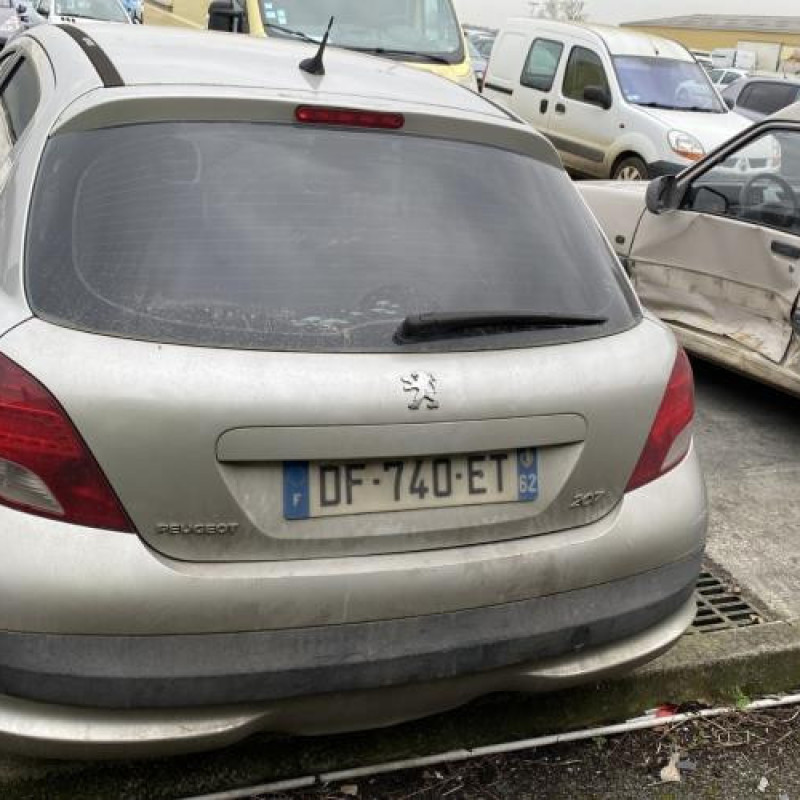 Baguette de porte arriere droite PEUGEOT 207 Photo n°19