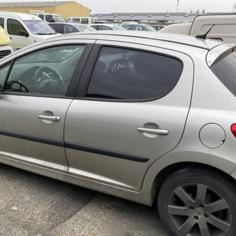 Baguette de porte arriere droite PEUGEOT 207 Photo n°20