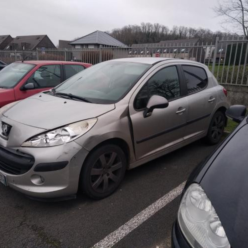 Porte avant droit PEUGEOT 207 Photo n°9