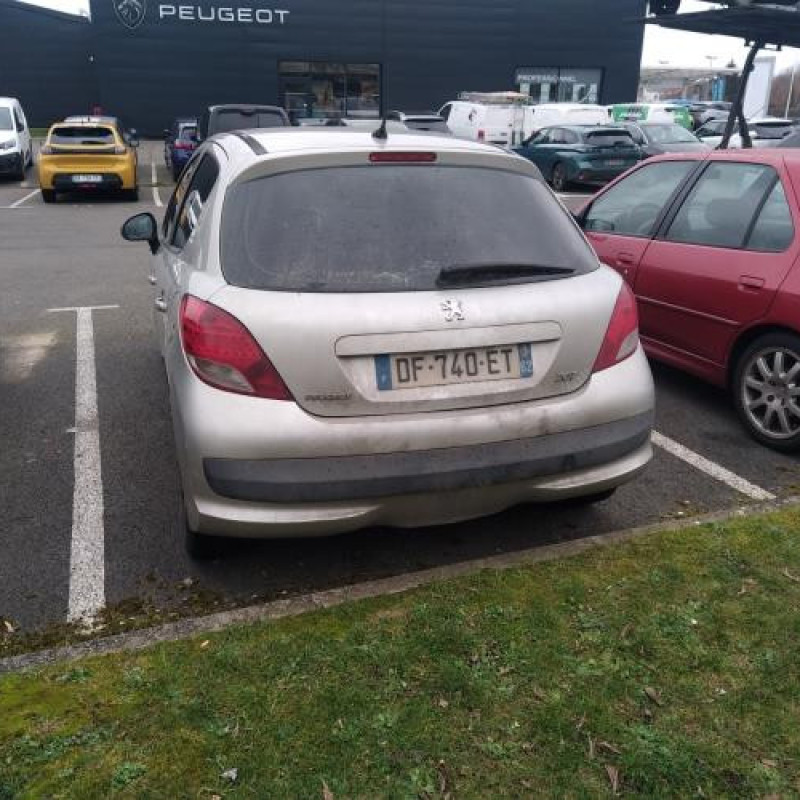 Porte avant droit PEUGEOT 207 Photo n°10