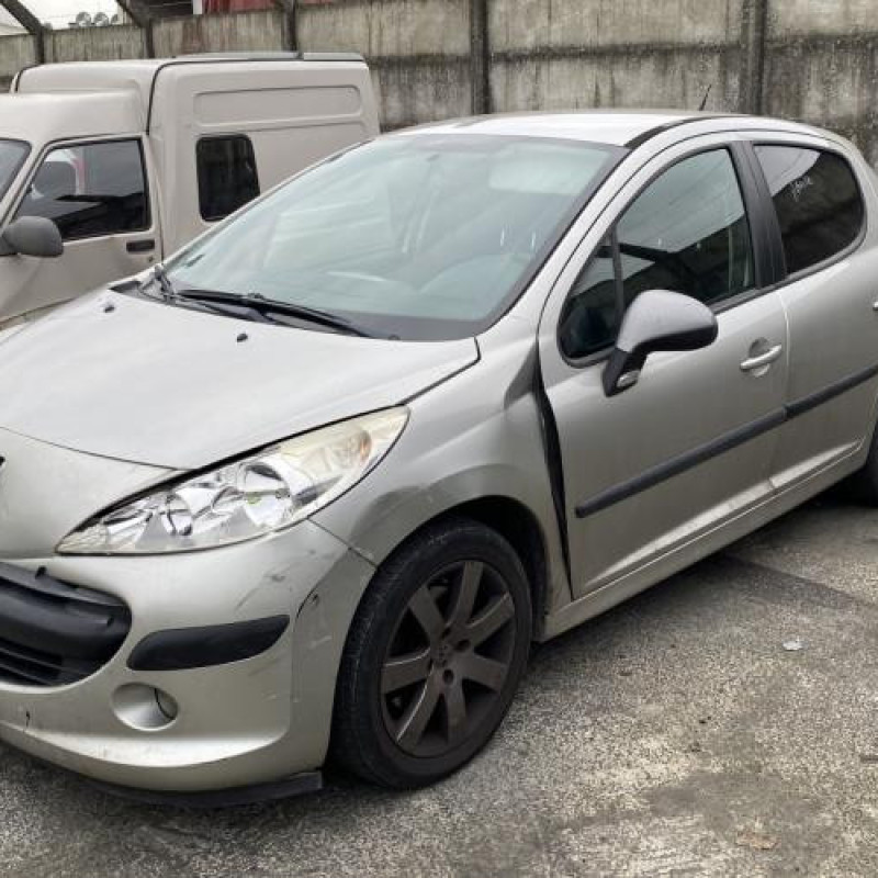 Porte avant droit PEUGEOT 207 Photo n°17