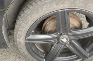 Feu arriere principal gauche (feux) PEUGEOT 207