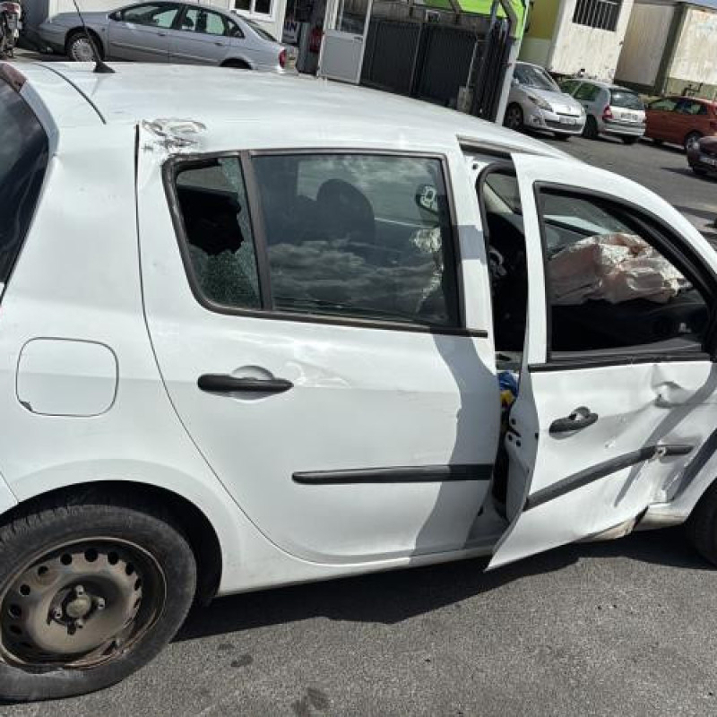 Custode arriere gauche (porte) RENAULT CLIO 3 Photo n°11