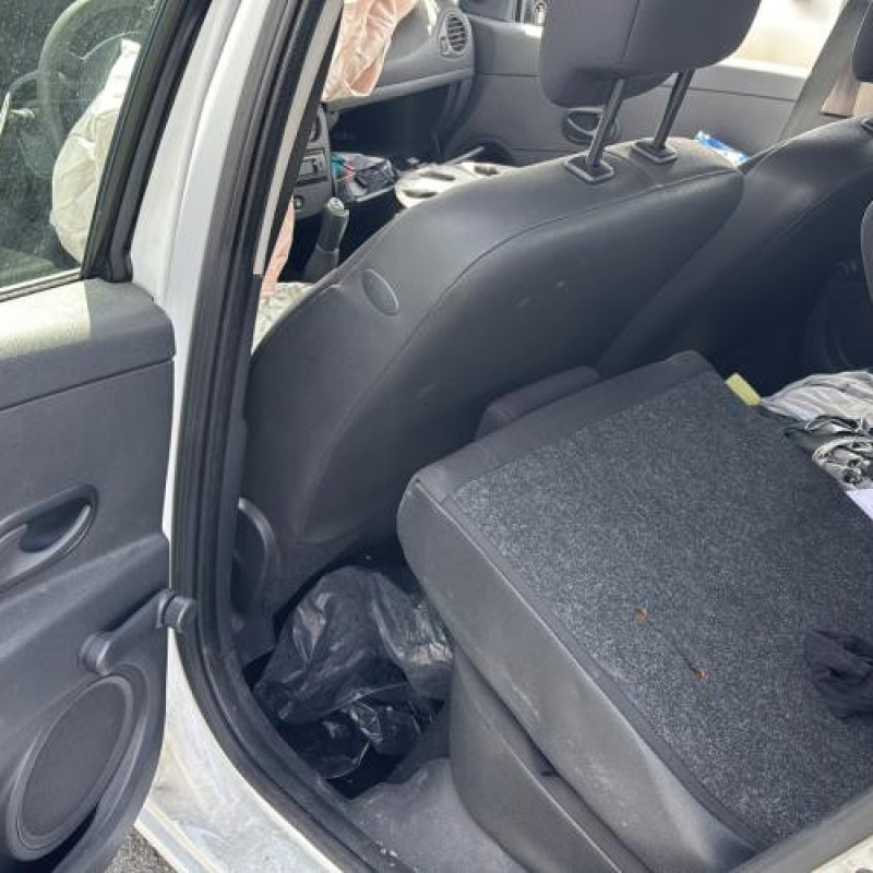 Custode arriere gauche (porte) RENAULT CLIO 3 Photo n°14