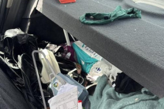 Custode arriere gauche (porte) RENAULT CLIO 3