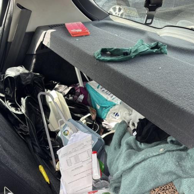 Custode arriere gauche (porte) RENAULT CLIO 3 Photo n°15